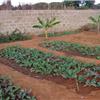 Kabwe Open Community School