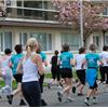 Run for Zambia 2010