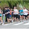 Run for Zambia 2010